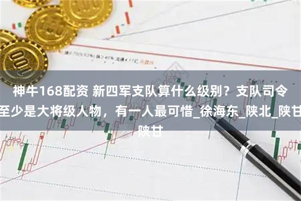 神牛168配资 新四军支队算什么级别？支队司令至少是大将级人物，有一人最可惜_徐海东_陕北_陕甘